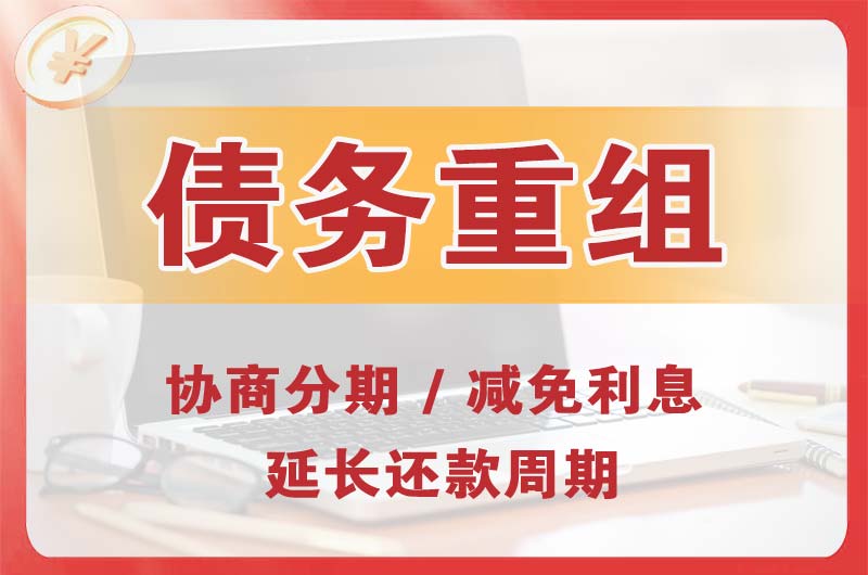 嬉子湖债务重组