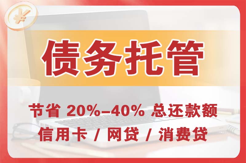 嬉子湖债务托管